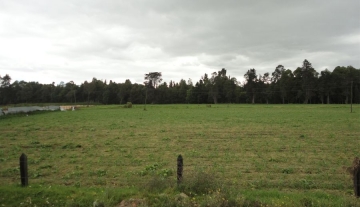 Lote Industrial La Glorieta