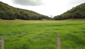 Lote La Aurelia Tenjo